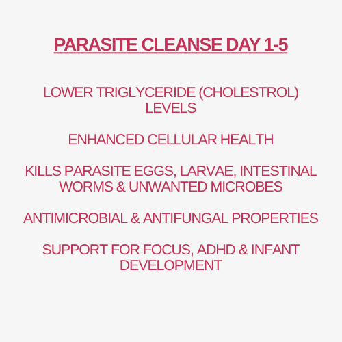 PARASITE CLEANSE (DAY 1-5) - Image 4