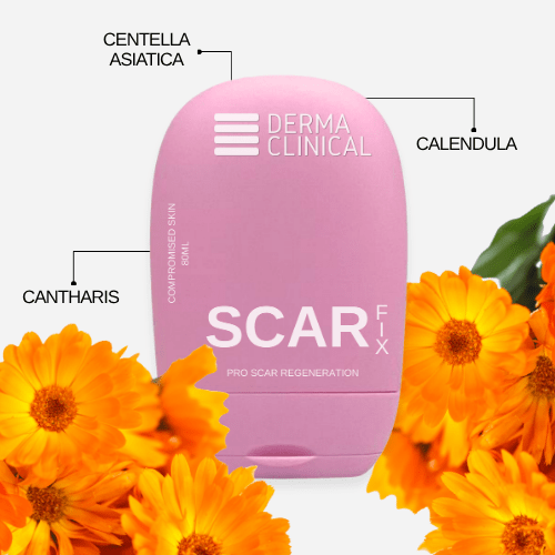 SCAR FIX - Image 4